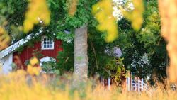 Image de Couverture article Les bons réflexes pour un deuxième achat immobilier