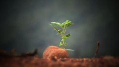 Image de Couverture article Le prêt immobilier, c'est quoi ?